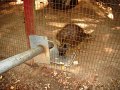 August2008 065